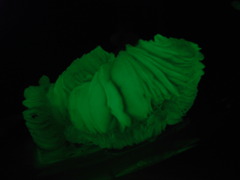 R0013920