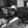 R0013847