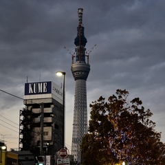skytree