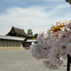 京都御所