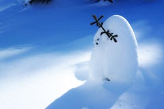 妖精は輝く雪を纏って佇む