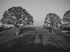 P1060928