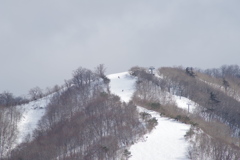 七ヶ宿スキー場　松の森コース