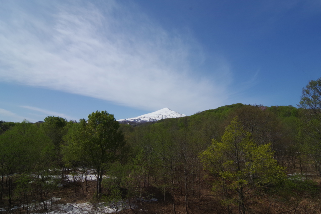 新緑の鳥海山