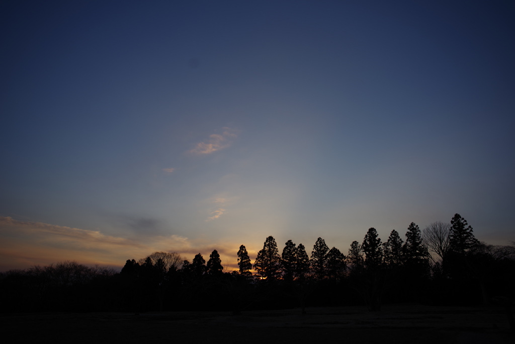 夕暮れ