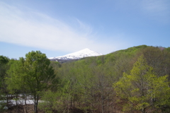 新緑と鳥海山