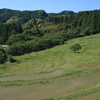 棚田１