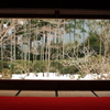 額縁庭園