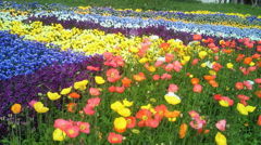 お花畑
