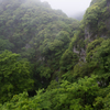 緑と岩壁