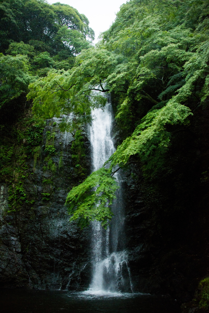 箕面の滝