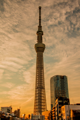 スカイツリー　夕日