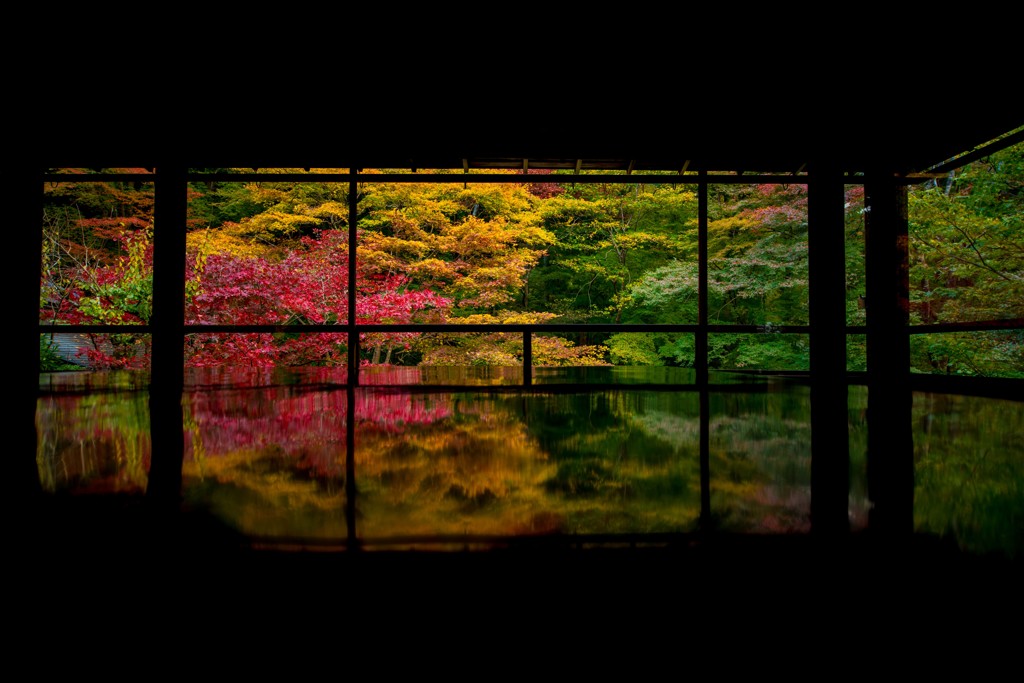 机上の景色