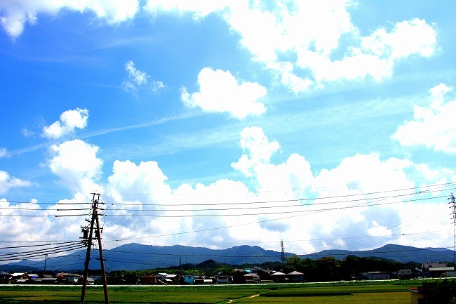 夏雲