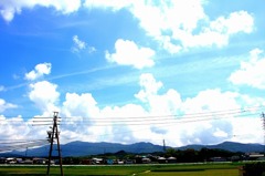 夏雲