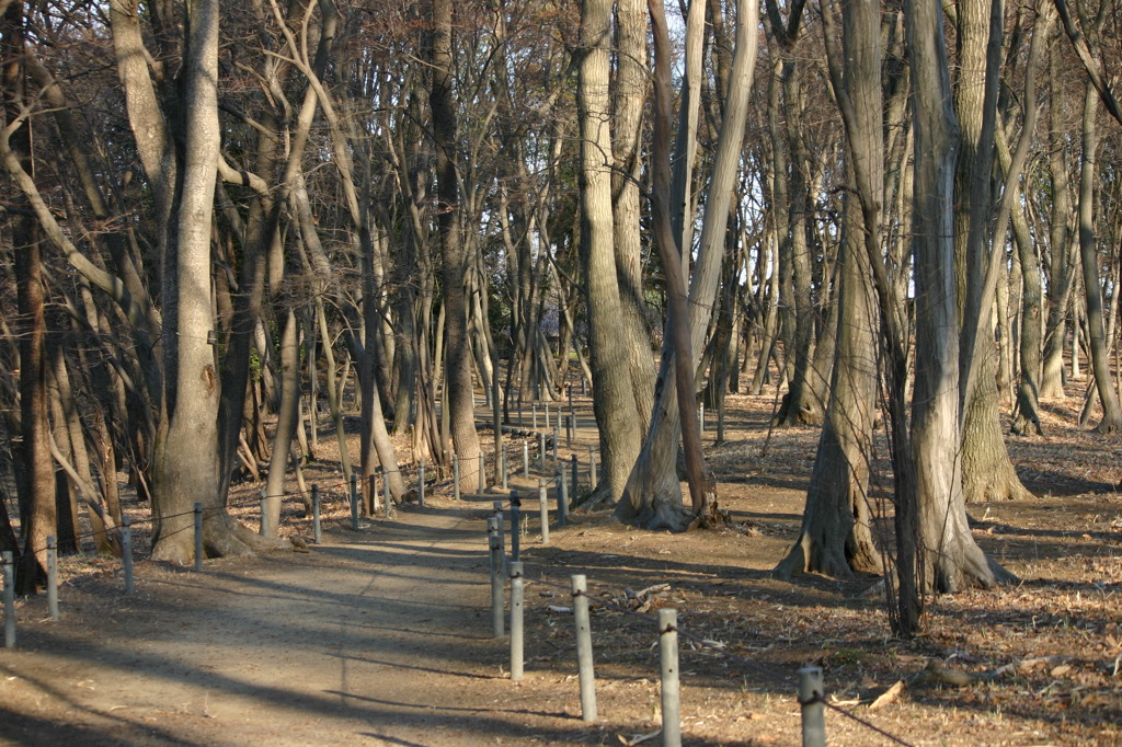 公園