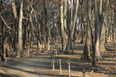 公園