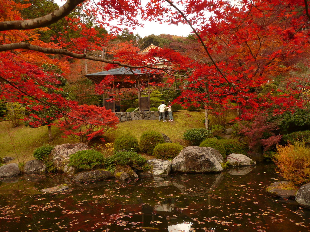 三室戸寺