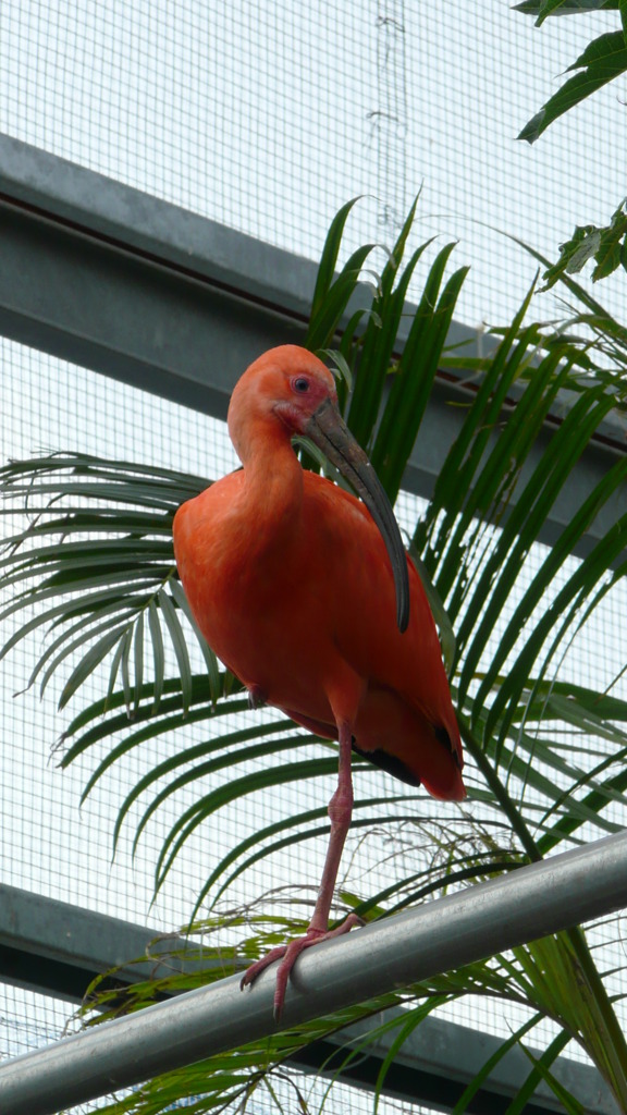 P1020281