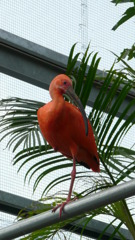 P1020281