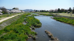 京都・高野川