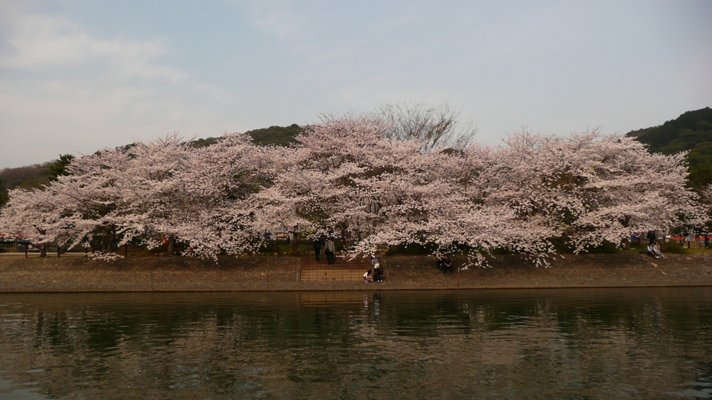 宇治橋