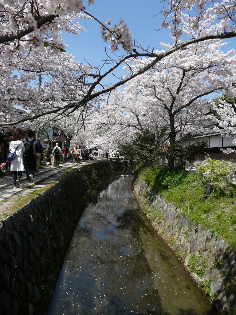 哲学の道