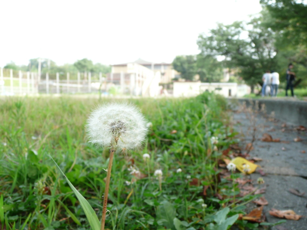 P1000334
