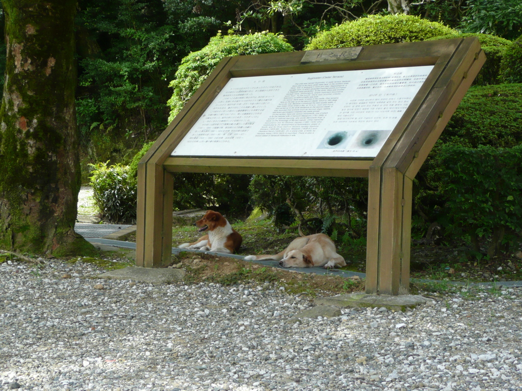 高知城