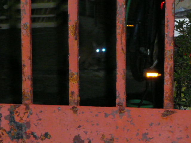 P1000282