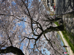 京都鴨川～高野川