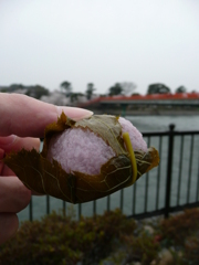 宇治と桜餅