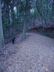 宇治・大吉山