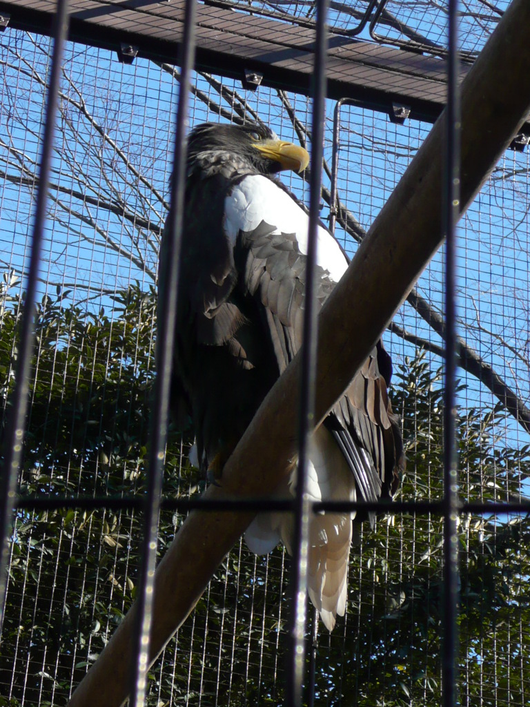 上野公園