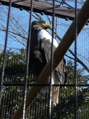 上野公園