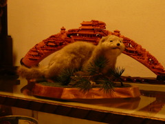 P1040047