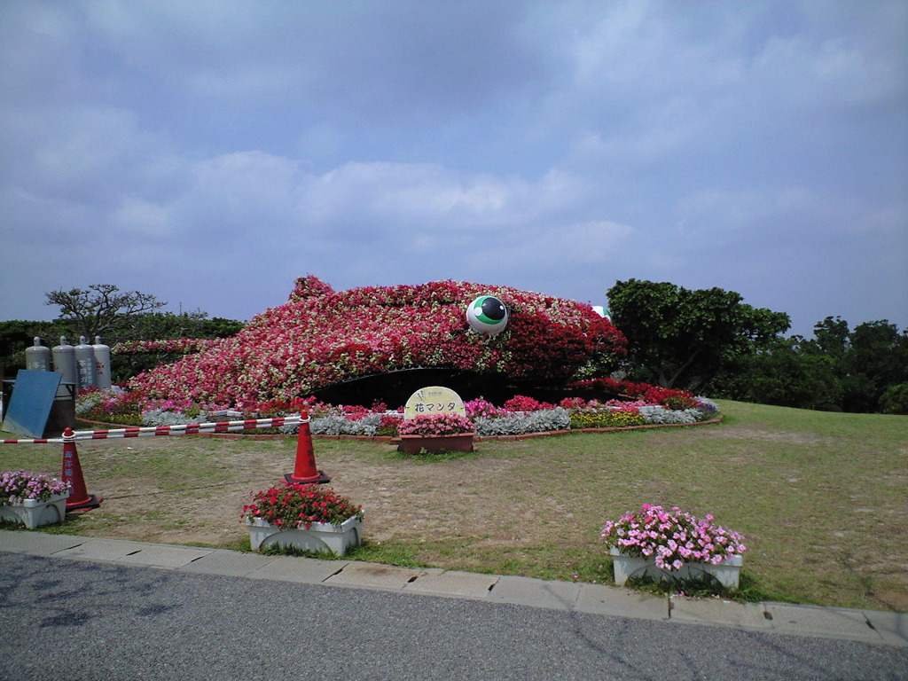 CA390494