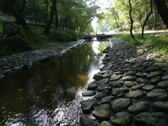 P1040395