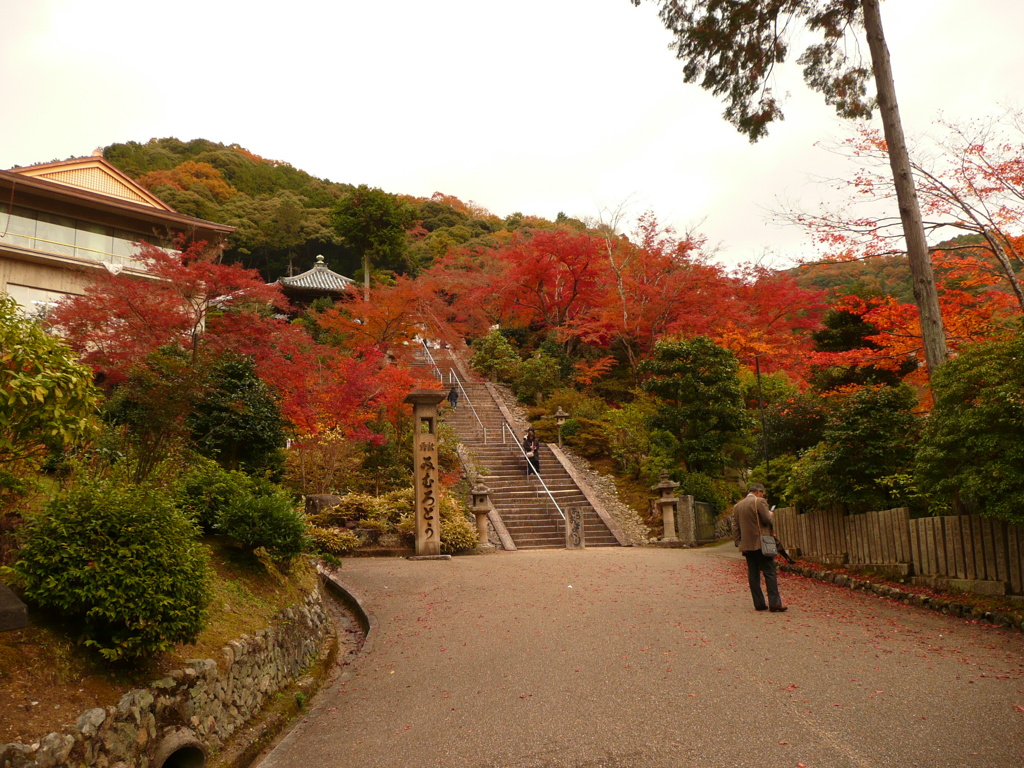 三室戸寺