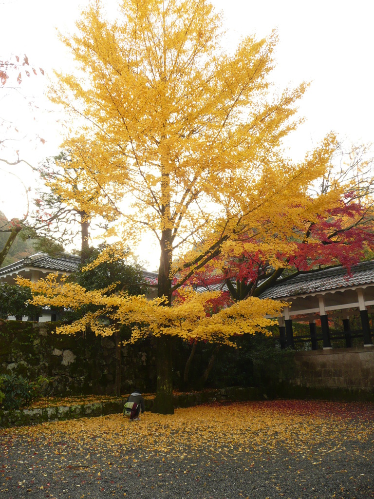 南禅寺