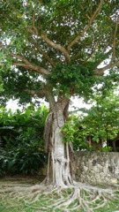 P1020615