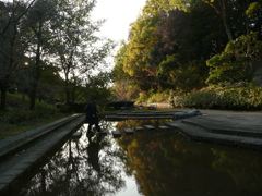 伏見北堀公園