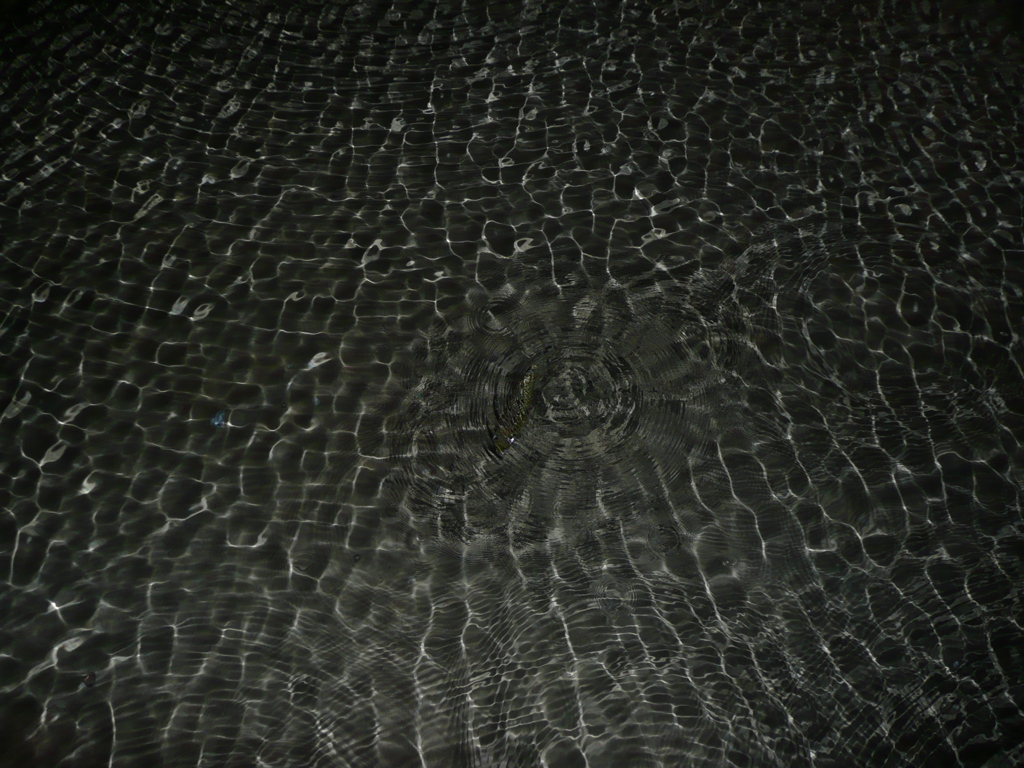 P1020599