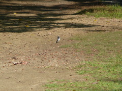 P1040389