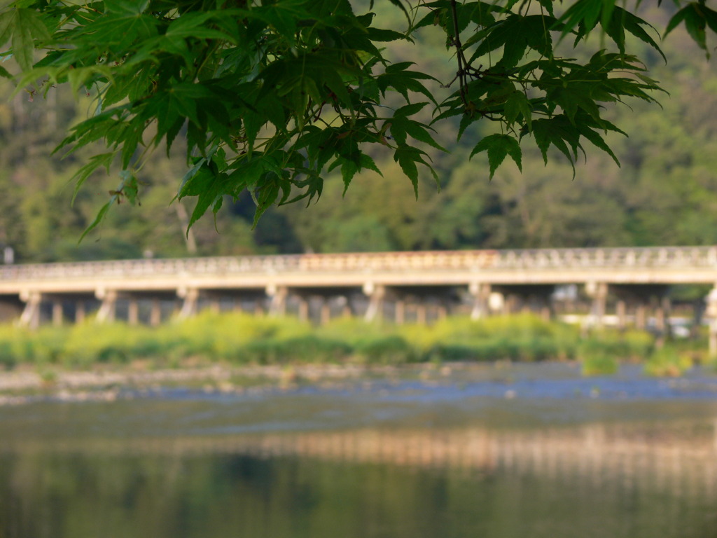 渡月橋