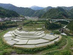 あらぎ島