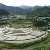 あらぎ島