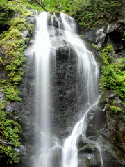 MIST SHOWER