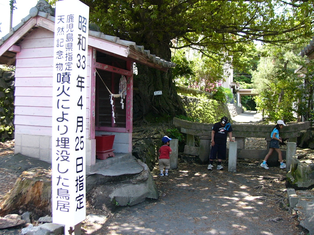 埋没鳥居