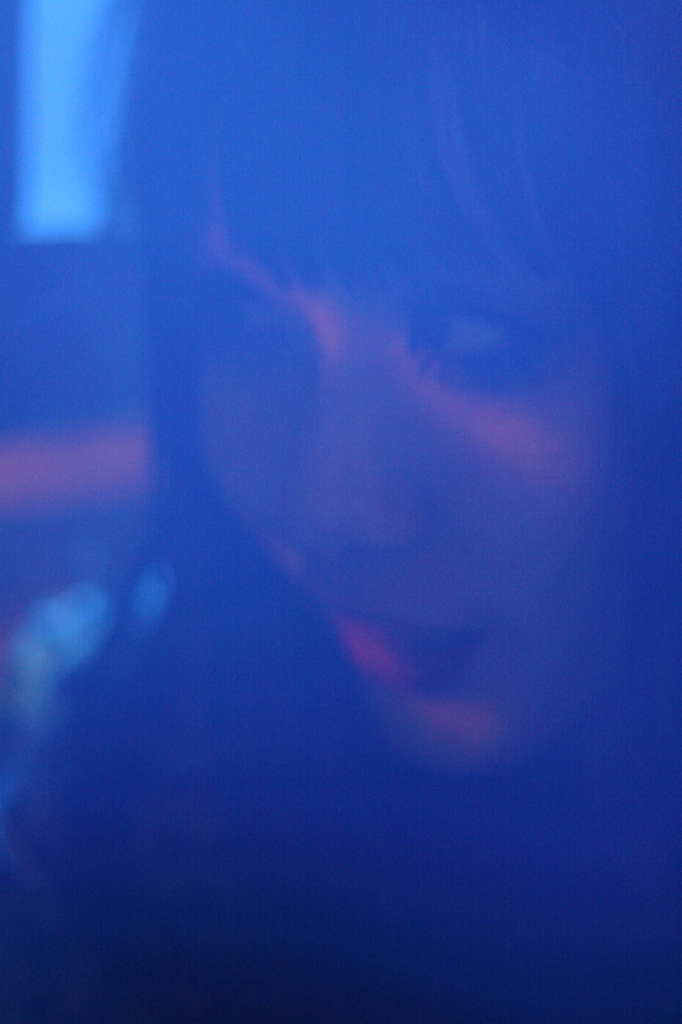 DPP_044